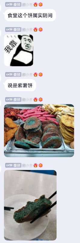霉菌饼霉菌饼