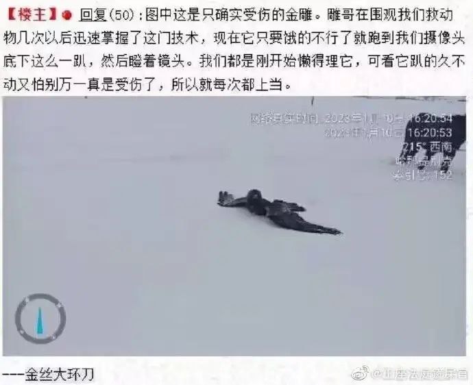 via 上神魔王
