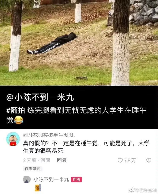 via 艾莉卡 ☭