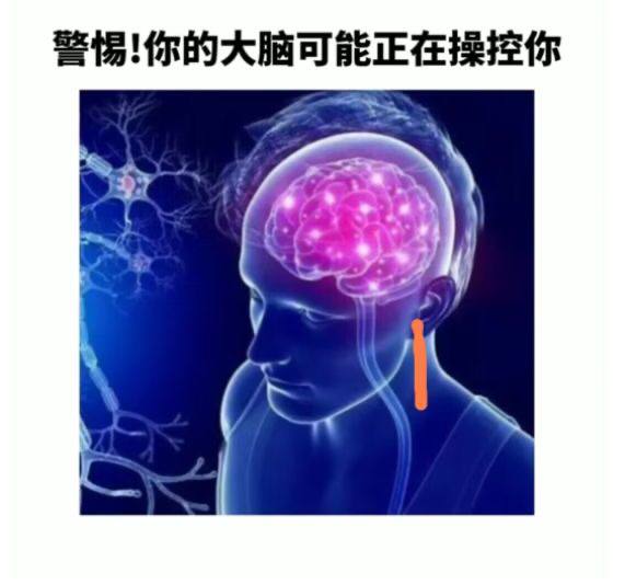 via 张某 犯罪嫌疑人