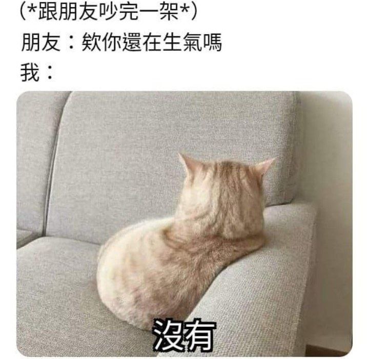 真的没有