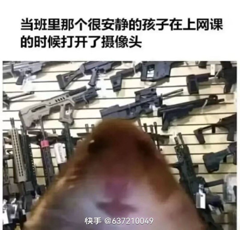 via 张某 犯罪嫌疑人