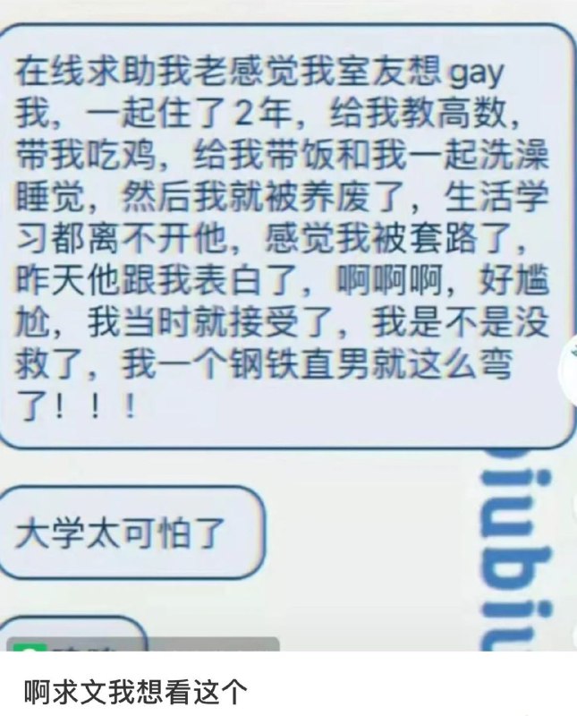 我是弯的我不介意，哪里可以找到这么好的室友