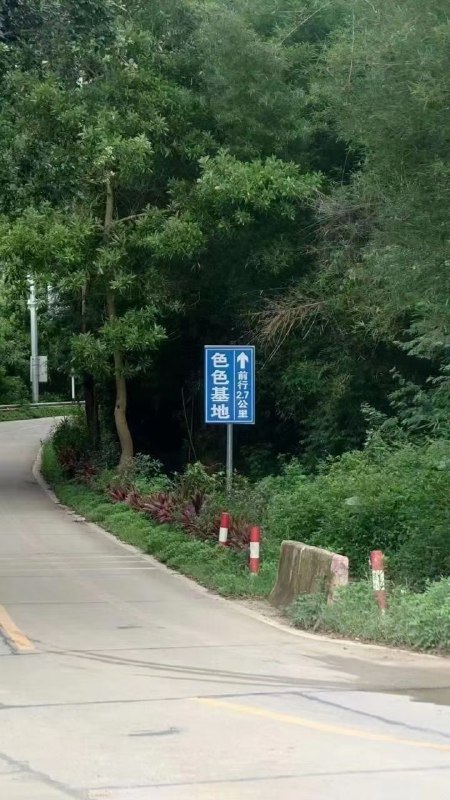 我将带头冲锋！！！！！