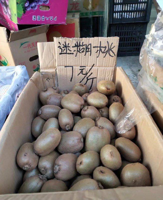 #近期网络梗图筛选from 平壤卫视 via 呀#近期网络梗图筛选from 平壤卫视 via 呀
