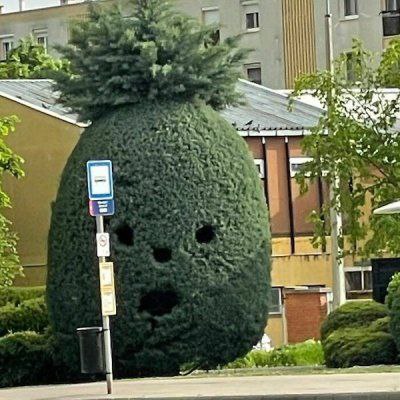来点绿植via (=^-ω-^=) ㅤ来点绿植via (=^-ω-^=) ㅤ