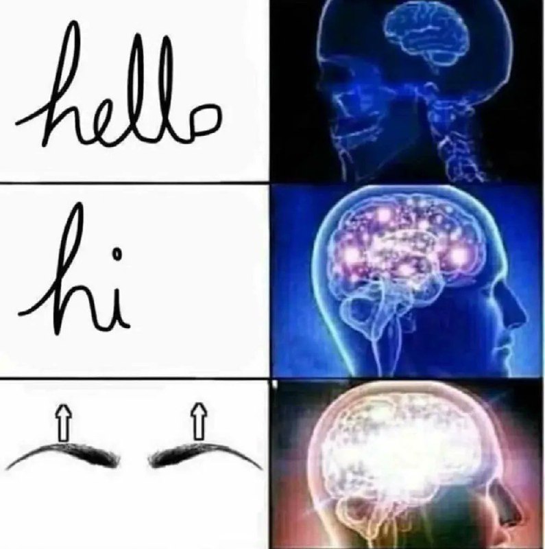 hello hi （挑眉）
