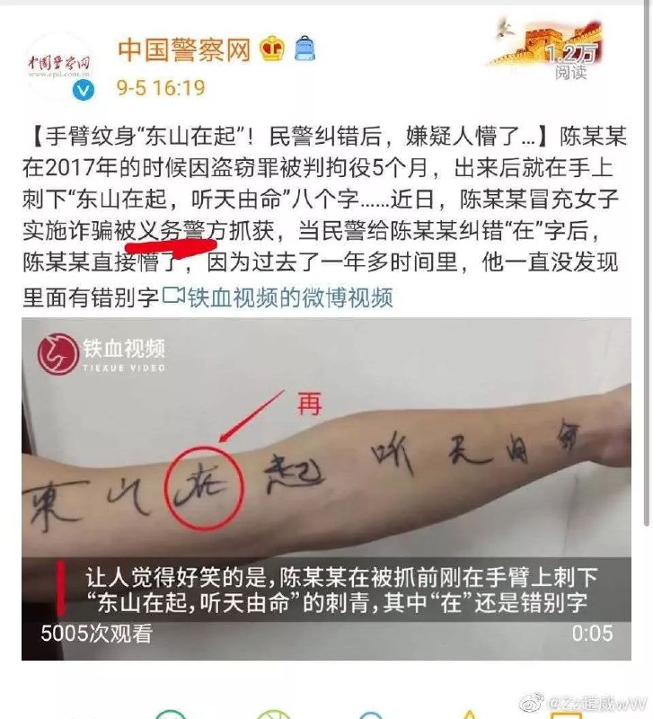 东山在起，听天由命东山在起，听天由命