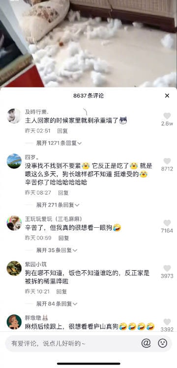 沈阳一社区，大白帮被隔离的居民上门喂狗