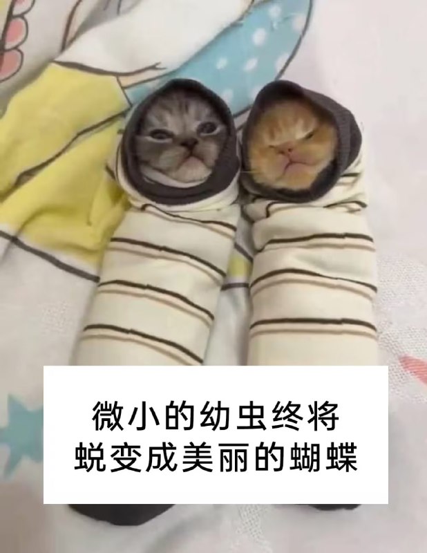 via 7号沙雕网友