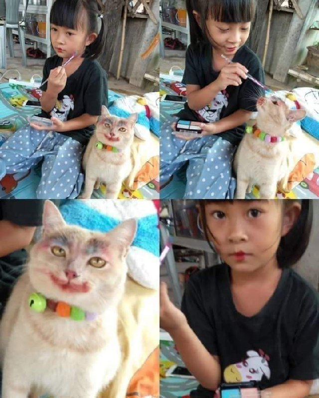 from 平壤卫视 via 呀