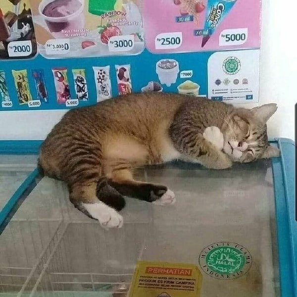 冷你就下来呗