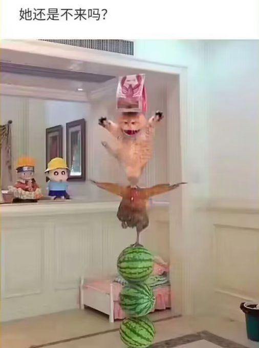 via 多多 薛