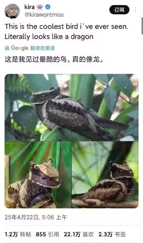人家祖先本来就是龙via my nbkls