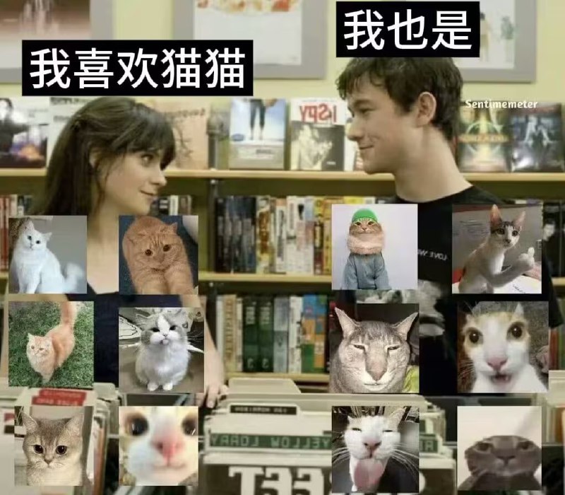 via 7号沙雕网友