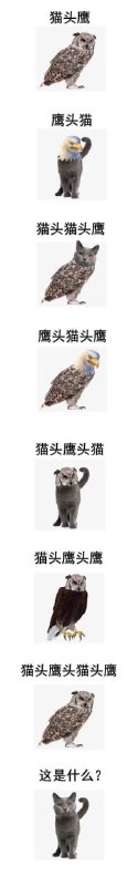 from 心惊报 via efsg