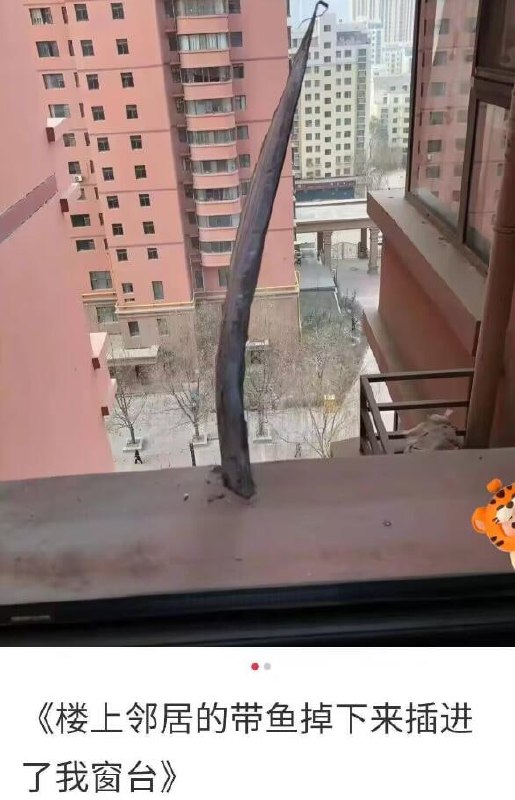 via 7号沙雕网友