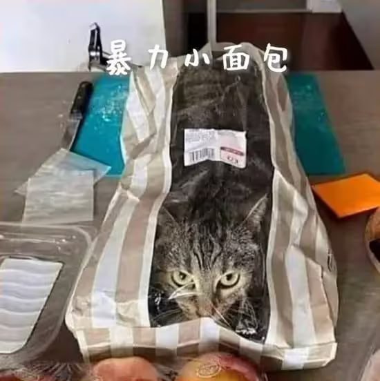via 7号沙雕网友