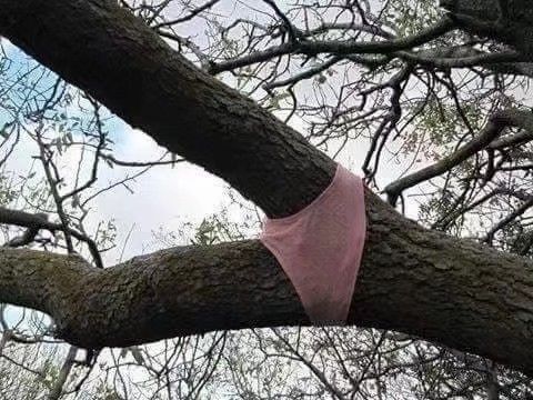 #nsfw