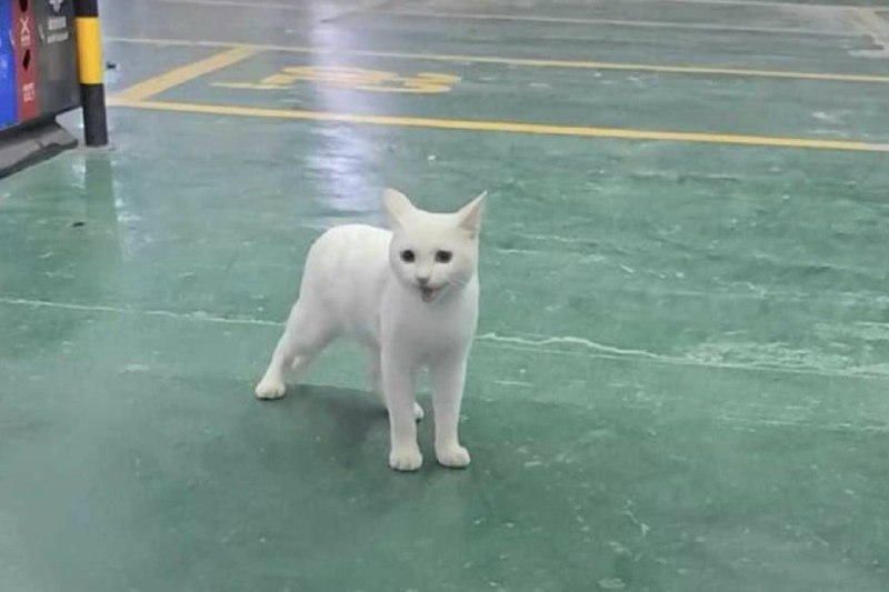 from 沙雕新闻墙 via 大大耳朵胡图图from 沙雕新闻墙 via 大大耳朵胡图图