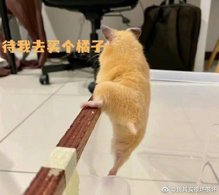 朱自清 《背影》朱自清 《背影》