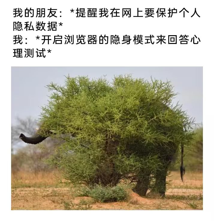 via 7号沙雕网友