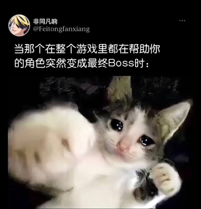 via 犯罪嫌疑人张某