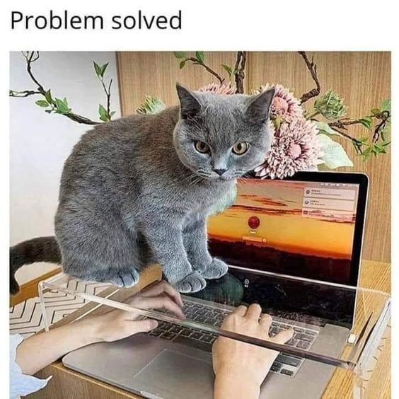 #精品