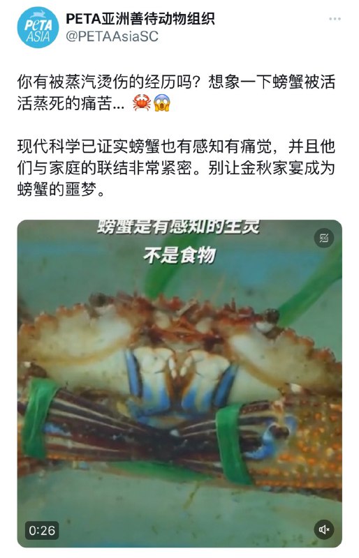from ㅤ
