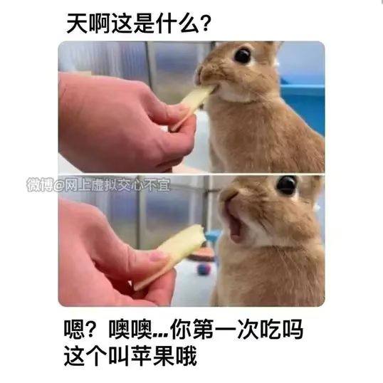 第一次__的你via efsg第一次__的你via efsg