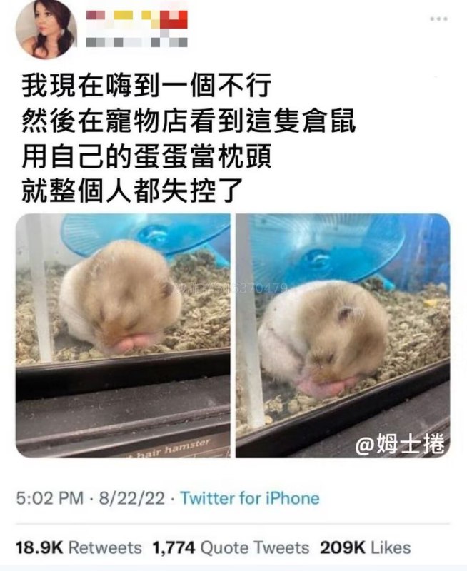 via 匿名from 心惊报