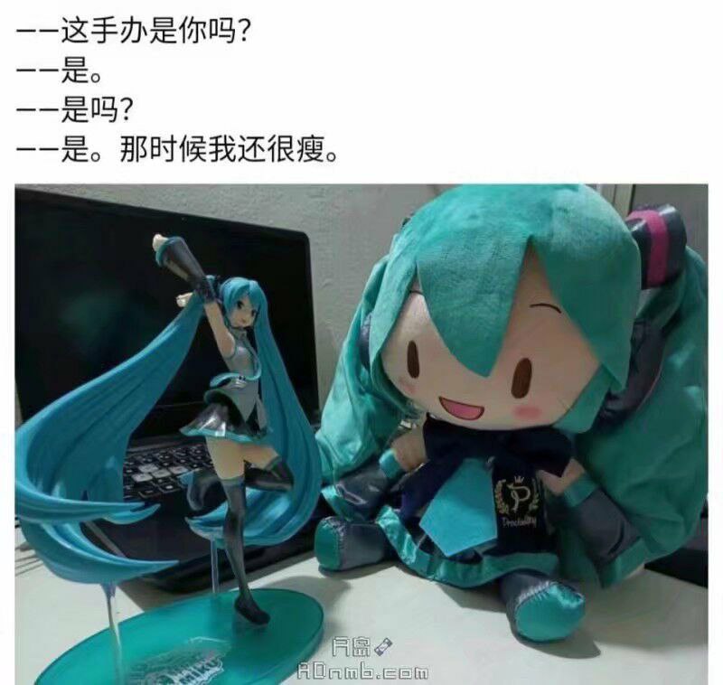 from 心惊报