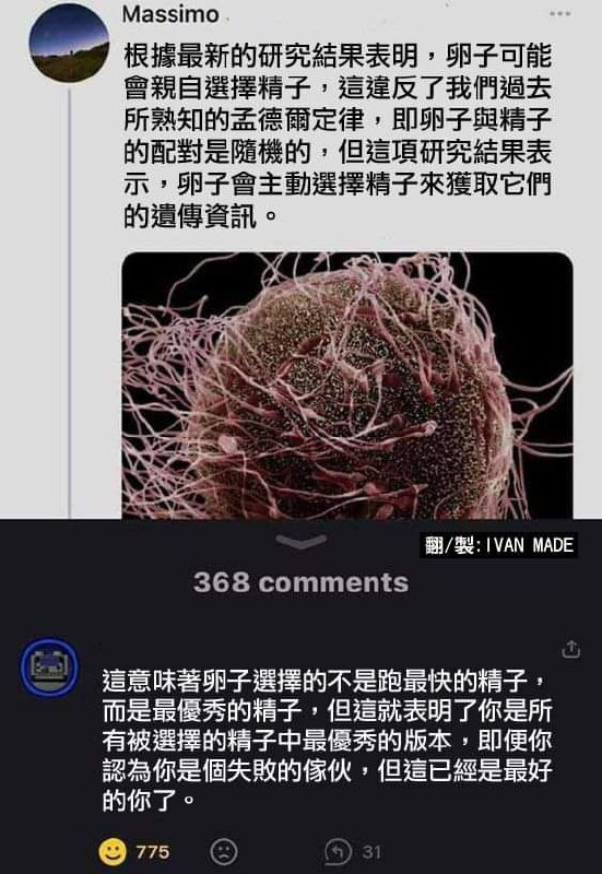 by Gawrfrom 🔮 奇闻异录 与 沙雕时刻 meme collection