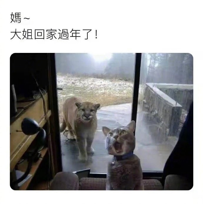 感觉怪怪的