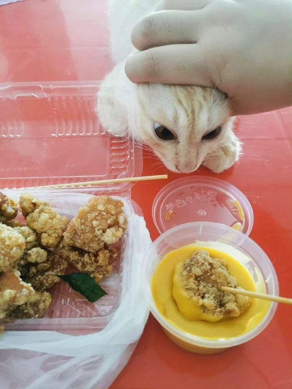 from 如何与沙雕相处from 如何与沙雕相处