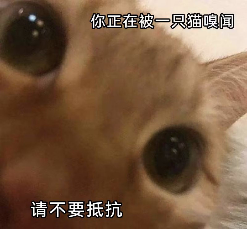 via 7号沙雕网友