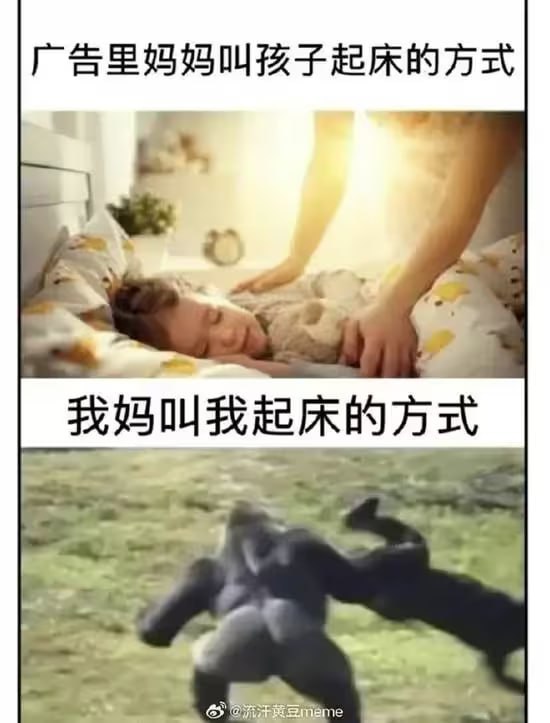 via 8号沙雕网友