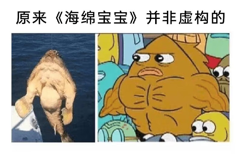via 7号沙雕网友