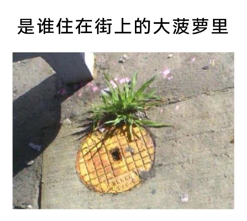 via 7号沙雕网友