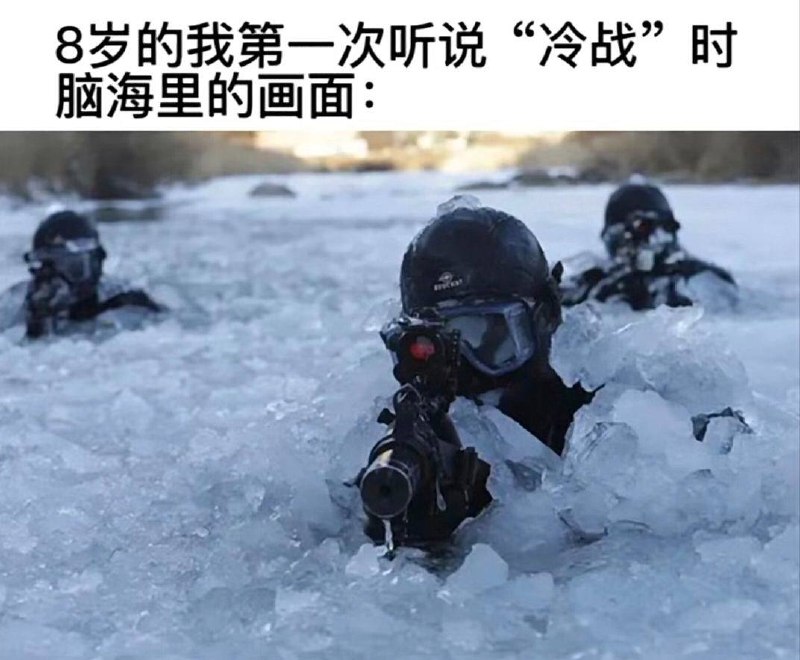 via 张某 犯罪嫌疑人