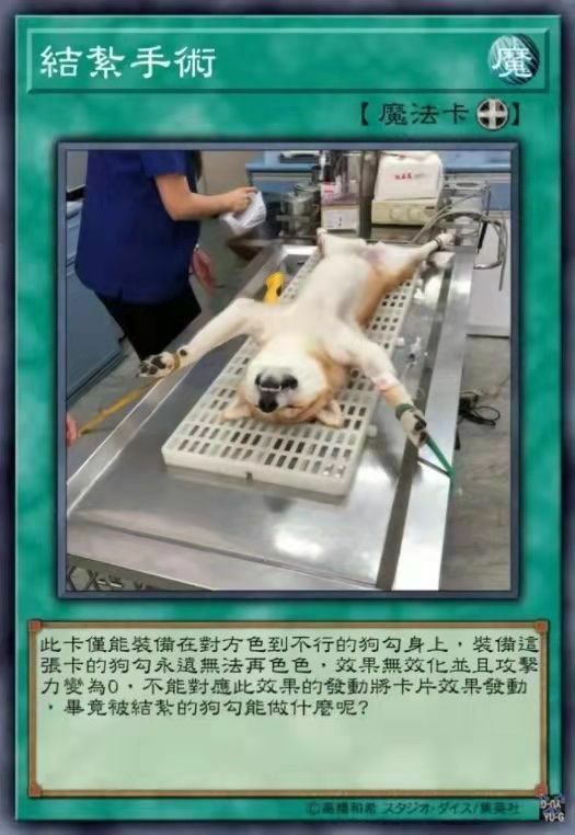 from 【Otto的摸鱼中心】人生不过两万天，能摸一天是一天~from 【Otto的摸鱼中心】人生不过两万天，能摸一天是一天~