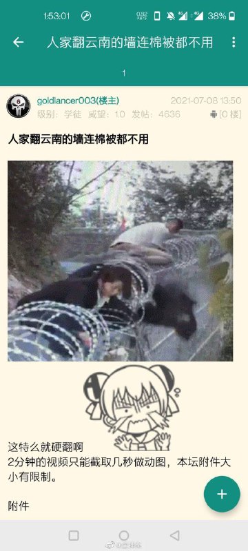 视频链接