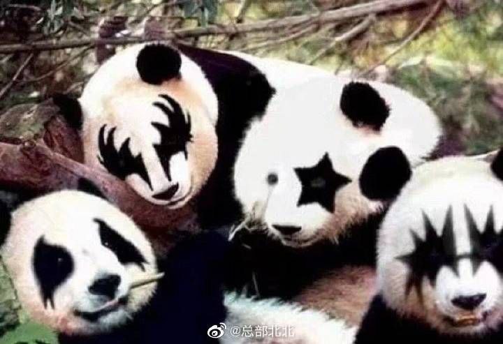 from 心惊报 （史东薇尔分报