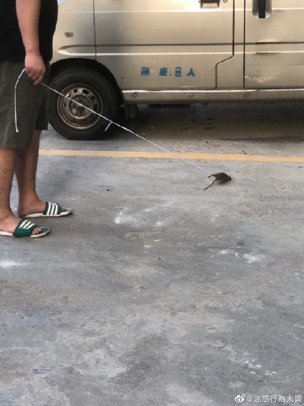 有线鼠标有线鼠标