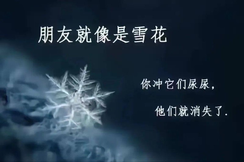 via 张某 犯罪嫌疑人