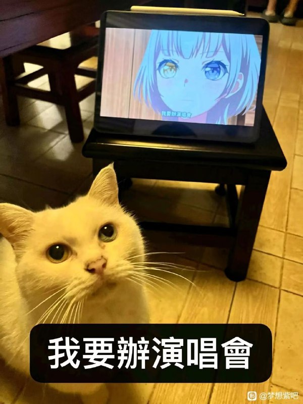 from 百合(梗图/setu)