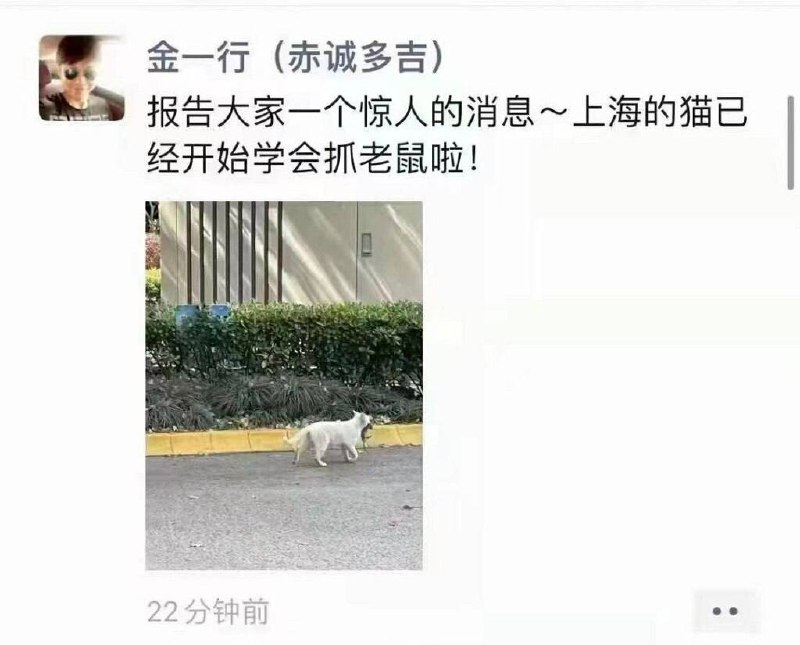 from 平壤卫视 via ㅤ
