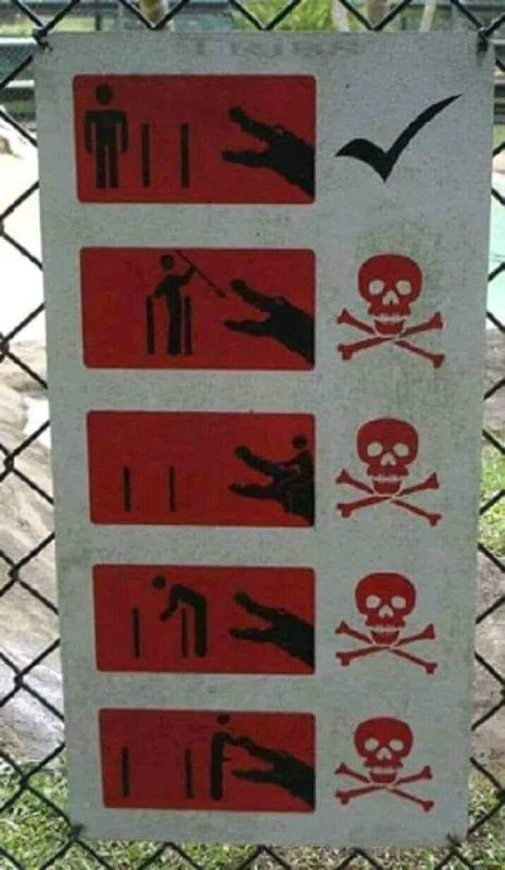 ？？？from 平壤卫视