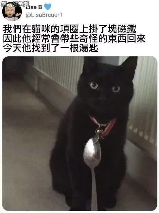 via 猫又云云 Hibiki ver.