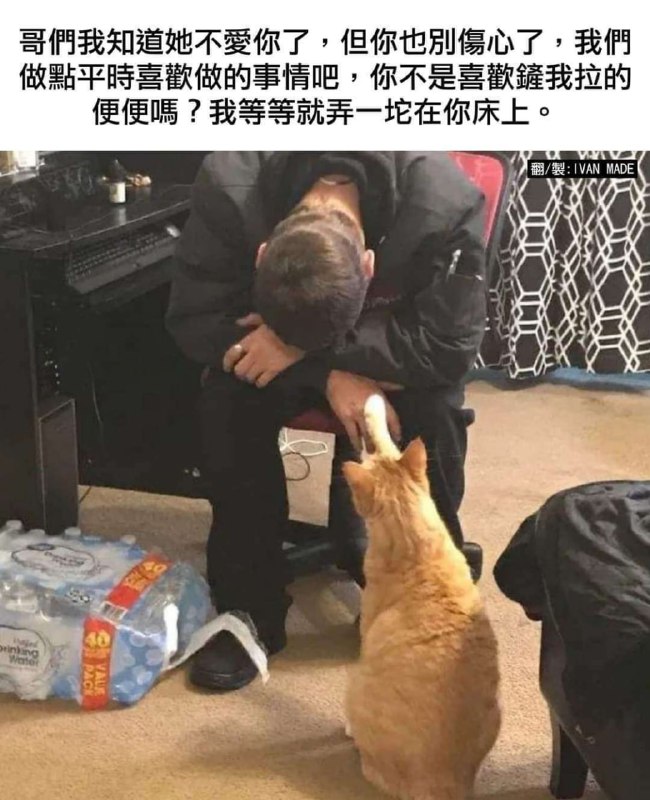 from 平壤卫视